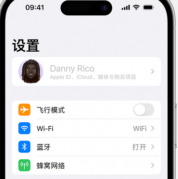 岑巩appleID维修服务iPhone设置中Apple ID显示为灰色无法使用