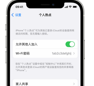 岑巩apple服务站点分享iPhone上个人热点丢失了怎么办 