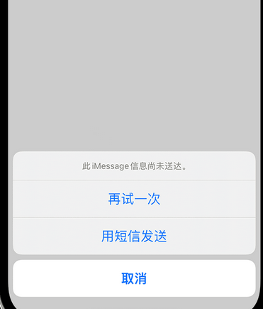 岑巩apple维修iPhone上无法正常发送iMessage信息