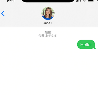 岑巩apple维修iPhone上无法正常发送iMessage信息