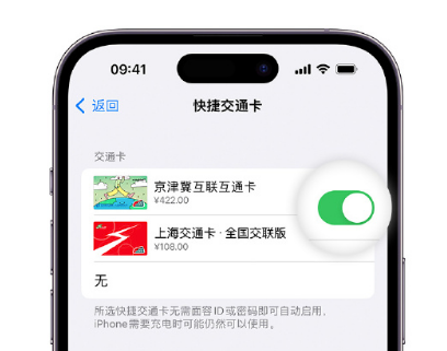 岑巩apple维修点分享iPhone上更换Apple Pay快捷交通卡手绘卡面 