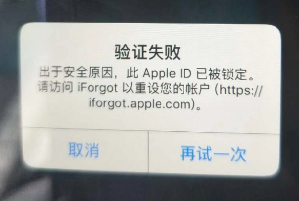 岑巩iPhone维修分享iPhone上正常登录或使用AppleID怎么办 