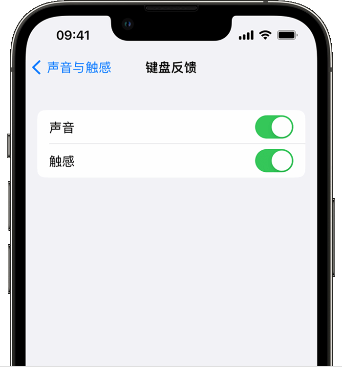 岑巩苹果14维修店分享如何在 iPhone 14 机型中使用触感键盘 