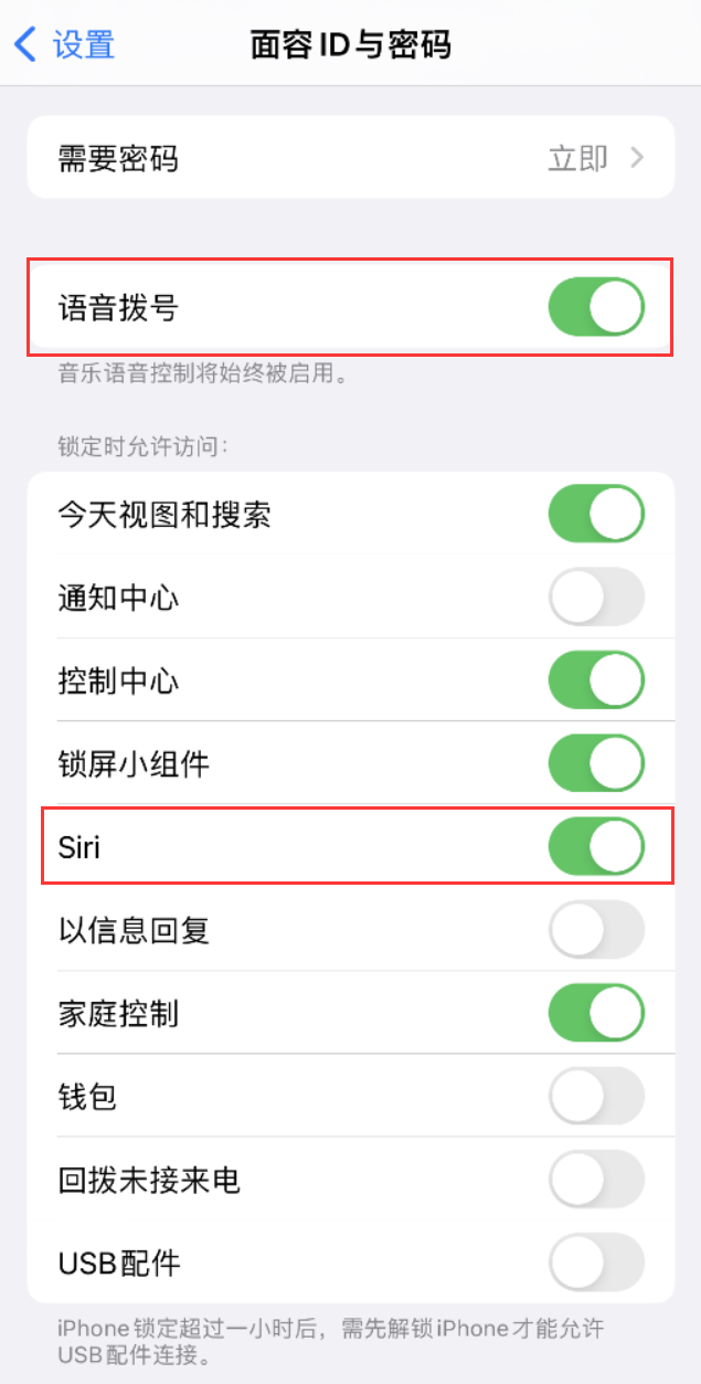 岑巩苹果维修网点分享不解锁 iPhone 的情况下通过 Siri 拨打电话的方法 