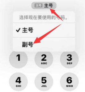 岑巩苹果14维修店分享iPhone 14 Pro Max使用副卡打电话的方法 