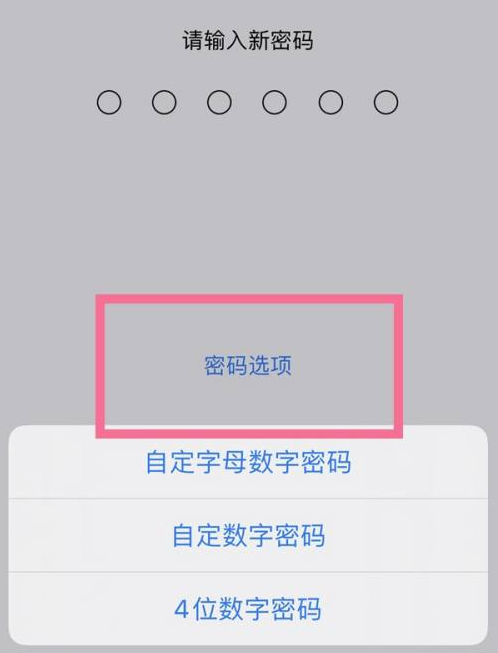 岑巩苹果14维修分享iPhone 14plus设置密码的方法 