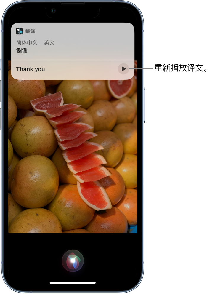 岑巩苹果14维修分享 iPhone 14 机型中使用 Siri：了解 Siri 能帮你做什么 