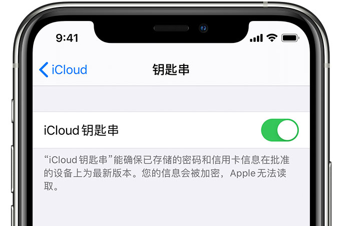 岑巩苹果手机维修分享在 iPhone 上开启 iCloud 钥匙串之后会储存哪些信息 